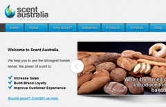 Amar InfoTech-Works: Search Engine Optimisation Services Sydney Australia